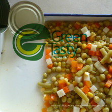 Conservas de verduras mixtas en vidrio tarro/lata